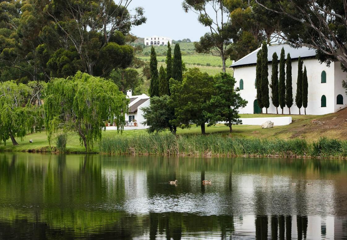 30-Hamilton-Russell-Vineyards-Tasting-Room-and-Cellar-viewed-from-the-pine-forest-Braemar-House-in-the-background