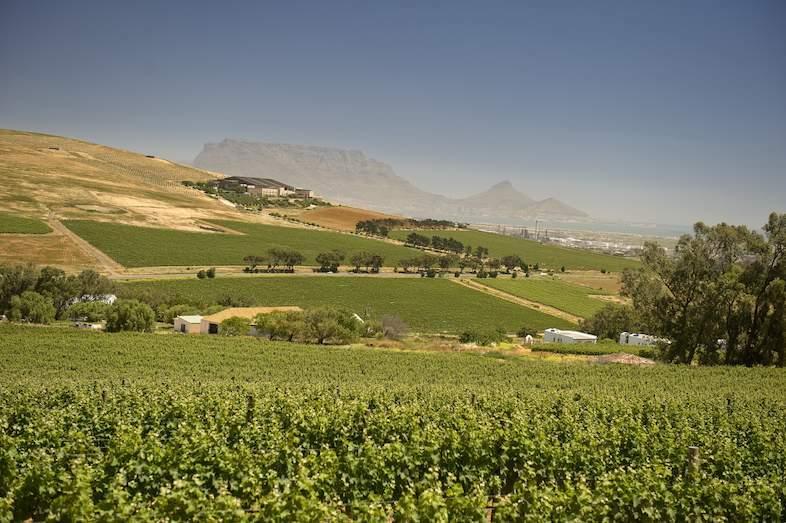 durbanville-hills-111-786x523